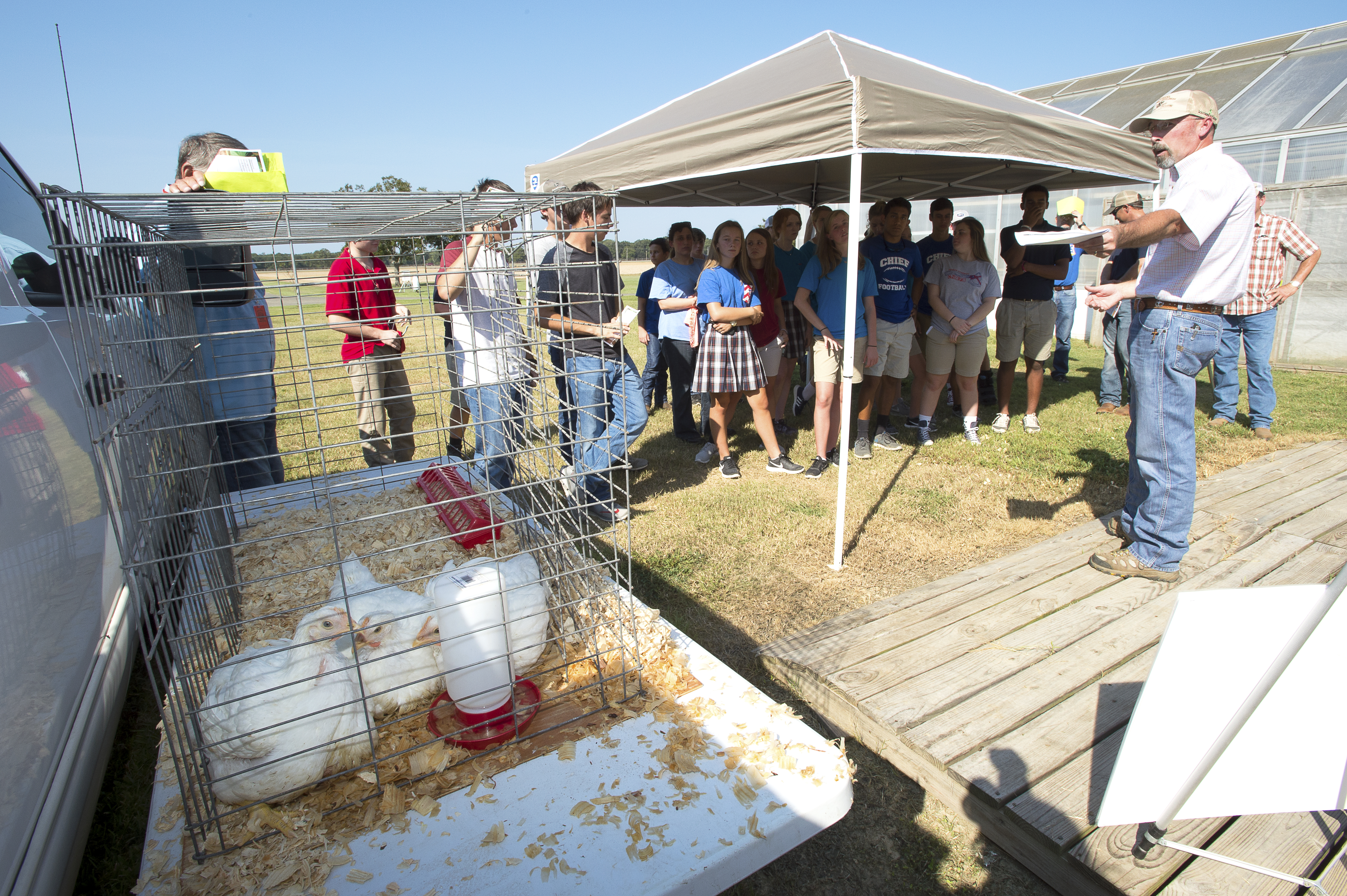 Agriculture awareness featured at youth field day